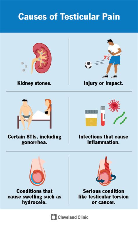 pain in the right testicle and lower back|More.